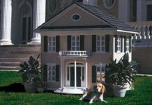 Fotos de perros con casas lujosas