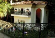 Esterilizacion en perros