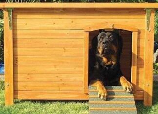 Casas para Perros de diferentes Materiales