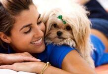 Las Mascotas son Buenas para tu Salud mejor salud con mascotas