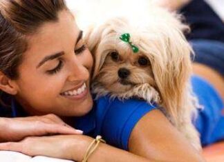 Las Mascotas son Buenas para tu Salud mejor salud con mascotas