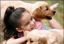Las Mascotas son ideal, pero debemos tener en cuenta la Edad de nuestros Niños