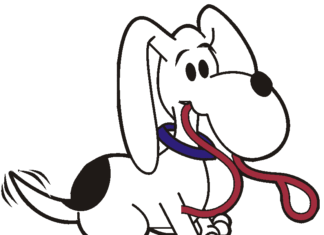 Un perro en nuestro hogar