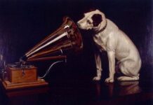 Perros como ayuda para aprender a leer