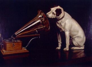 Perros como ayuda para aprender a leer