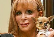 Un chihuahua hereda 8 millones de dólares