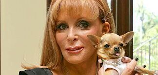 Un chihuahua hereda 8 millones de dólares