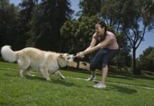 Algunos perros tienen mal olor