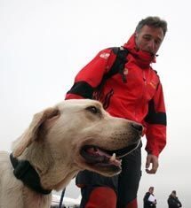 Perros Salva Vidas