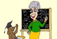 Consejos para los Primeros Días de un Perro en Casa