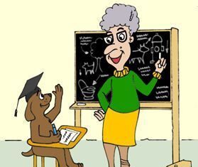 Consejos para los Primeros Días de un Perro en Casa