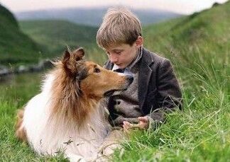 Perros y el cine