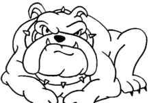 El Curioso Incidente del Perro a Medianoche