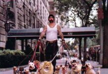 Convivir con varios perros Convivir con varios perros