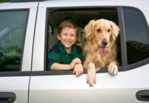 La elección de un nuevo perro