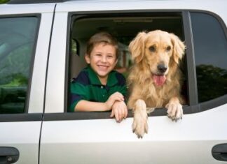 Viajar con un perro en un vehiculo