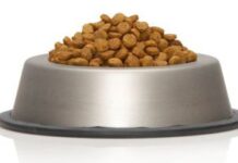 Alimentos para perros