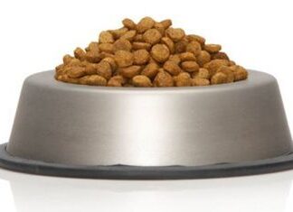 Alimentos para perros