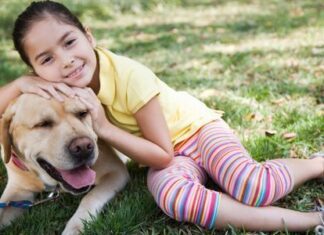 Perros entrenados para niños autistas