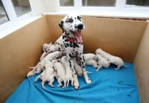 Homenaje en la Puerta del Sol