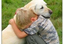 Lenguaje corporal en los perros