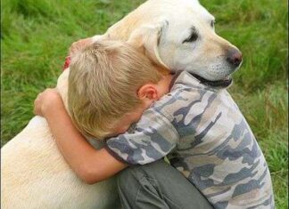 Lenguaje corporal en los perros