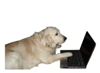 La inteligencia canina