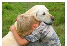 El Mejor Amigo Del Hombre