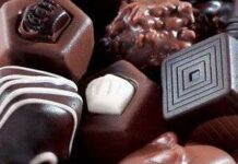 Perros peligran con el chocolate chocolates