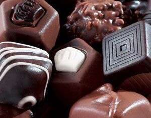 Perros peligran con el chocolate chocolates