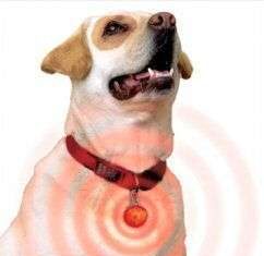 Collar Para Perros
