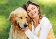 Entendiendo a tu perro