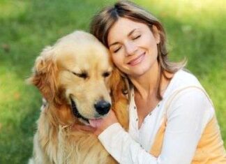 Entendiendo a tu perro