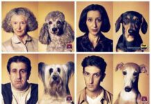 ¿Se parece tu perro a ti?