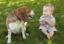 Educando al nuevo integrante del hogar