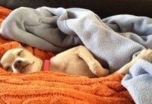 Lección 1: La responsabilidad que implica