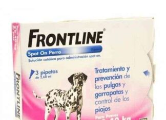 Evita las Garrapatas en tu Perro Fácilmente elimina garrapatas