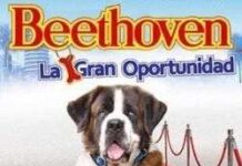 Los 9 Perros más Famosos del Mundo