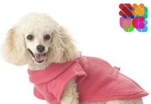 Bata Manta para Abrigar a tu Perro batamanta para perros