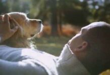 Estudio sobre el vínculo entre Personas y Mascotas mascotas