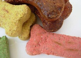 Consejos de alimentación para razas pequeñas ll