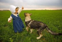 Cuáles son las razas de perros más aconsejables para los niños