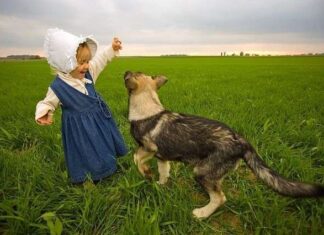 Cuáles son las razas de perros más aconsejables para los niños