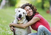 Mascotas: ¿Cómo elegir la mejor para ti? que mascota elegir