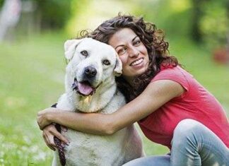 Mascotas: ¿Cómo elegir la mejor para ti? que mascota elegir