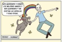 Humano + Perro + Gato