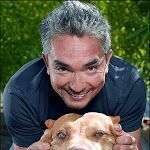 Clase del encantador de perros