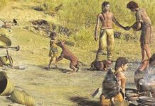 ¿Desde cuando los humanos tenemos perros?