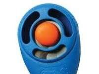 Lo que necesitas para empezar a adiestrar a tu perro