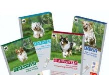 AnimalCLAN ayuda a Eliminar Parásitos de nuestro Perro pipetas anti parasitos advantix para perros